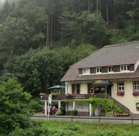 Black Forest Family Apartment-Zum Letzten G'Stehr Bad Rippoldsau-Schapbach Exterior foto
