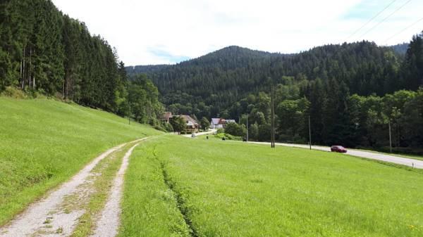 Black Forest Family Apartment-Zum Letzten G'Stehr Bad Rippoldsau-Schapbach Exterior foto